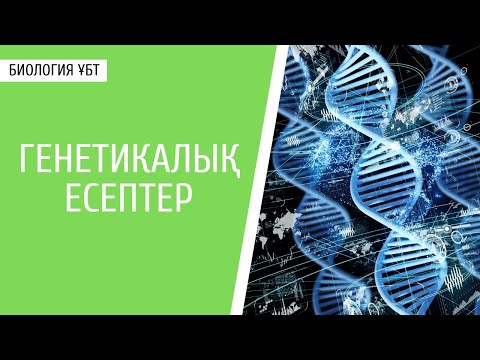 Видео: ГЕНЕТИКАЛЫҚ ЕСЕПТЕР | БИОЛОГИЯ ҰБТ | ОНЛАЙН ХИМИЯ МЕКТЕБІ