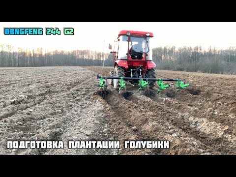 Видео: DongFeng 244 g2 Окучники kerland  , подготовка плантации Голубики +375292339661