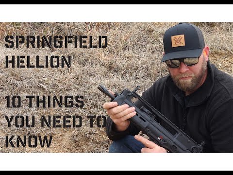 Видео: Спрингфилдский геллион. 10 вещей, которые вам нужно знать!