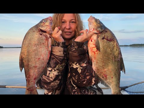 Видео: ОНА ЗНАЕТ КАК ЛОВИТЬ ЗДОРОВЫХ ЛЕЩЕЙ! Рыбалка на донки с лодки. Ловля Леща на донки 2024