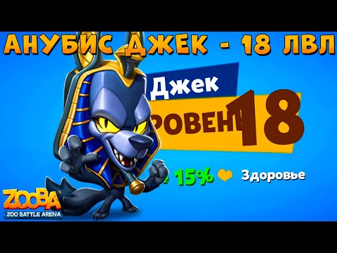 Видео: КАЧАЕМ 18 УРОВЕНЬ - АНУБИС ВОЛК ДЖЕК В ИГРЕ ZOOBA