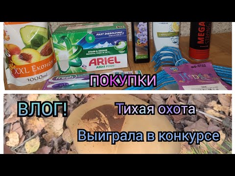 Видео: Влог! Выиграла в конкурсе&Тихая охота&Покупки