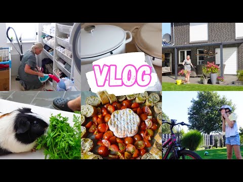 Видео: VLOG🇩🇪: НАХОДКИ ДЛЯ КУХНИ👍🏻вкусная и быстрая закуска🥖новый велик для Юлии🚴‍♀️