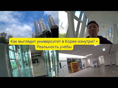 Видео: Университет в Корее изнутри — почему тут ТАК холодно?
