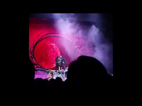 Видео: Дракула (Бозин, Скрипалев) - первые 40 минут