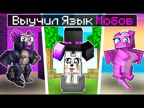 Видео: ✅ Майнкрафт, но Мобы РАЗГОВАРИВАЮТ!