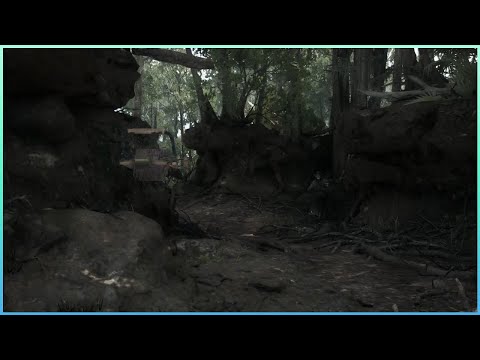 Видео: [Hunt Showdown 1896] Большой калибр | 롱탄