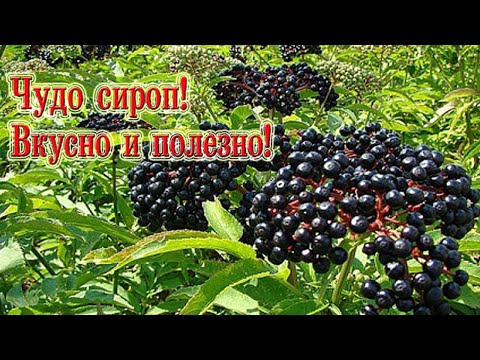 Видео: Чудо сироп! Вкусно и полезно! | Miracle syrup! Tasty and healthy!
