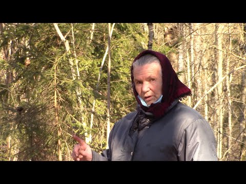 Видео: Святой камень следовик Мы нашли его Татьяна Беспалова