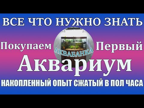 Видео: Покупаем Первый Аквариум! Советы начинающим аквариумистам .