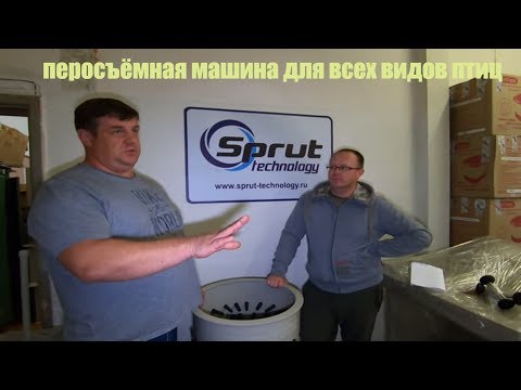 Видео: перосъёмная машина для всех видов птиц