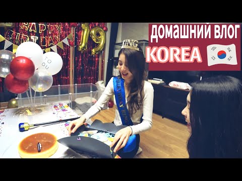 Видео: День рождения Софии и новый щенок / Часть 2 / KOREA VLOG