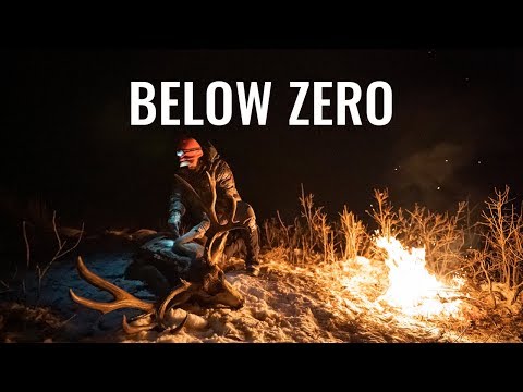 Видео: НИЖЕ НУЛЯ - 3-й сезон охоты на оленей-мулов в Колорадо