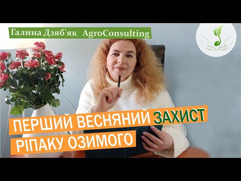 Видео: Шкідники і бур'яни. На що звертаємо увагу при першому весняному захисті ріпаку?