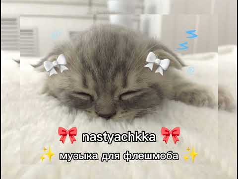Видео: 🎀 музыка для флешмоба 🎀 #музыка