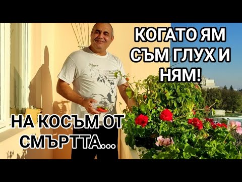 Видео: ЕДНА ИСТОРИЯ С ЛЮТИ ЧУШКИ ОТ ОПИТНОТО ПОЛЕ НА УЧИЛИЩЕТО МИ, ЗАВЪРШИЛА С ЩАСТЛИВ КРАЙ ЗА МОЯ СЪУЧЕНИК