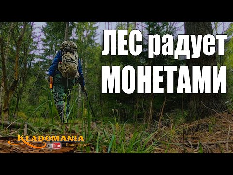 Видео: В ЛЕС за МОНЕТАМИ. Поиск монет и кладов в лесу. КЛАДОМАНИЯ