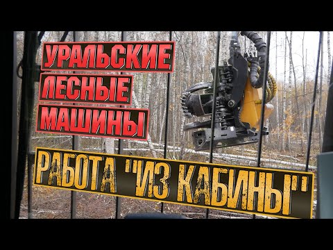 Видео: Вид из кабины харвестера. SDLG E6210DL с харвестерной головой UFM X600 | Logging on harvester.