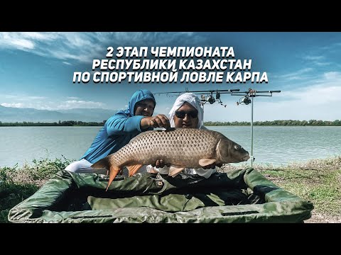 Видео: Карпфишинг РК/ Второй этап чемпионата РК