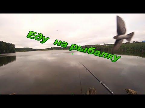 Видео: Еду на рыбалку.