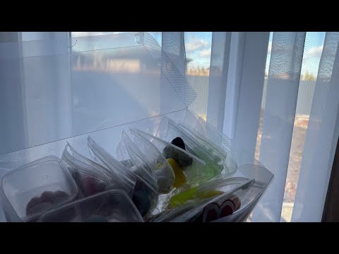 Видео: ОБЗОР НА ВСЕ МОИ ТАБА СКВИШИ🎧💞!