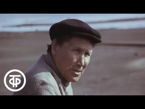 Видео: Память о Русском Устье (1987)