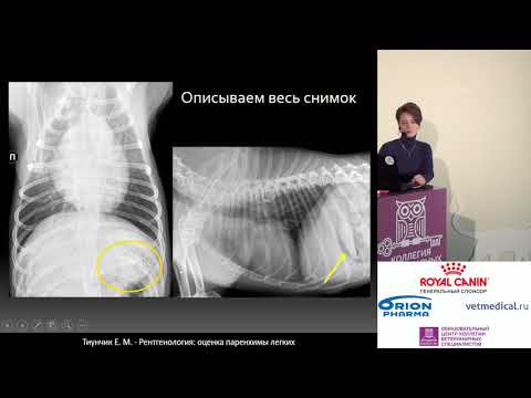 Видео: Тиунчик Е. М. - Рентгенология: оценка паренхимы легких