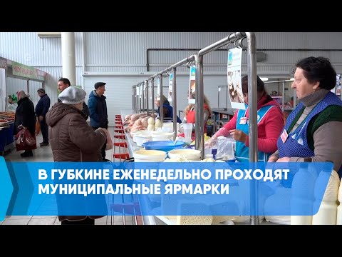 Видео: В Губкине еженедельно проходят муниципальные ярмарки