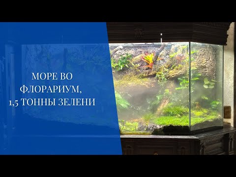 Видео: Море во флорариум. 1,5 тонны зелени