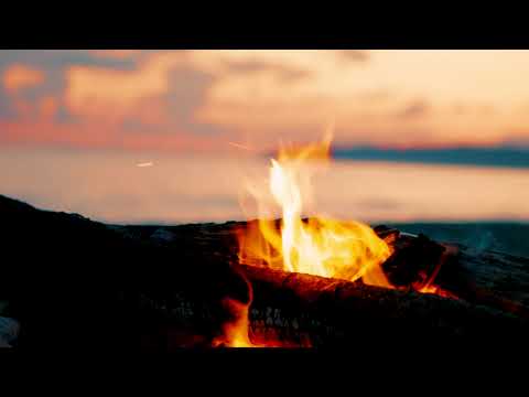 Видео: Релакс. Звуки костра и моря на закате. Пение сверчков.