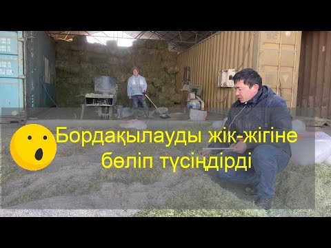 Видео: Жылқы бұқа бордықылау үшін жем шөпті қалай беру керек 🤔
