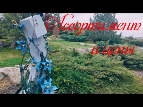 Видео: Садовый центр сакура днепр