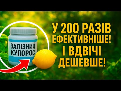 Видео: Змішайте залізний купорос із цим копійчаним засобом... І ваш сад просто не впізнати!