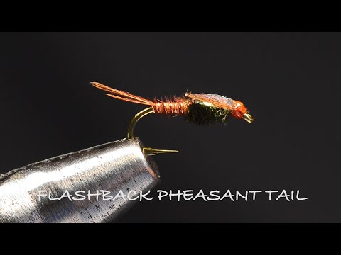 Видео: «Воспоминания о хвосте фазана» Чарли Крейвена