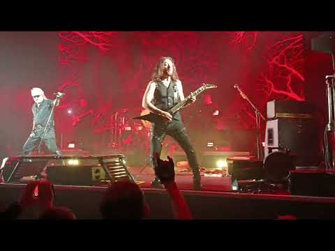 Видео: Алиса.Брянск.15.10.2025