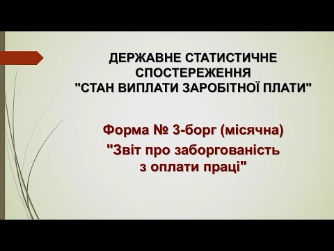 Видео: Форма ДСС № 3-борг (місячна). Відеоінструкція