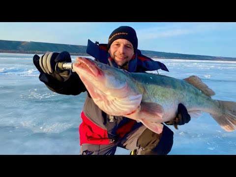 Видео: У НАС 80 % ЛОВИТ🔥 ТОЛЬКО НА ЭТУ СНАСТЬ рыбалка зимой