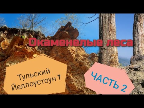 Видео: Окаменелые леса. Карьер Коптево-Георгиево Тульской области. Тульский Йеллоустоун??? Часть 2