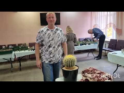 Видео: Выставка кактусов с мастер классом по пересадке "крупномеров".🌵