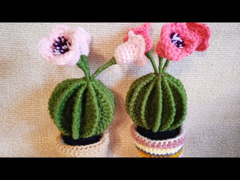 Видео: Вяжем кактус крючком. МК.