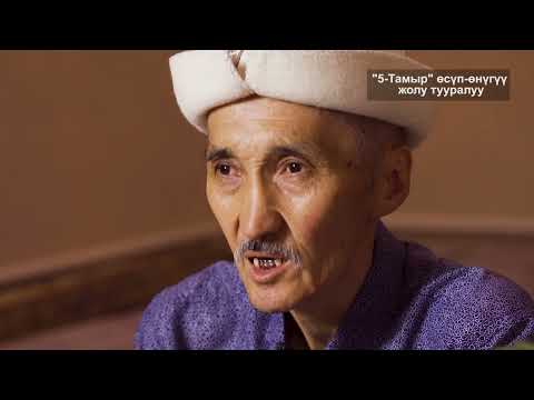 Видео: "5 тамыр" осүп-онүгүү жолу тууралуу