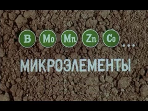 Видео: Микроэлементы и симптомы недостатка у растений