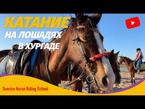 Видео: 🇪🇬 Египет 2022: Катание на лошадях в Хургаде! Отдых в Египете