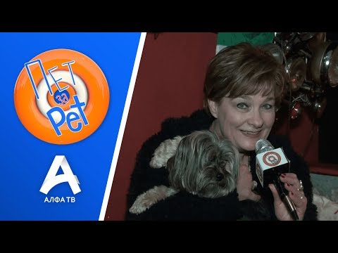 Видео: ПЕТ ЗА PET I РОСАНА САРИЌ - ТОДОРОВСКА