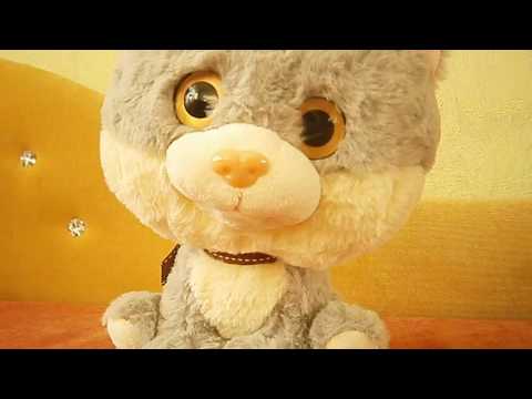 Видео: Мои мягкие игрушки