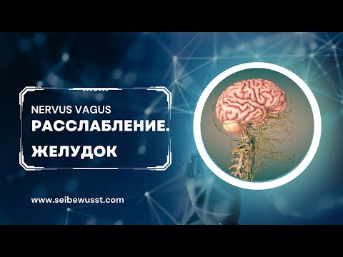 Видео: Секретное средство против компрессии блуждающего нерва. Желудок.