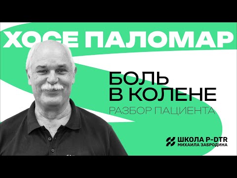 Видео: ЭКСКЛЮЗИВ! Разбор пациентов с болью в коленном суставе от основателя метода P-DTR Хосе Паломара