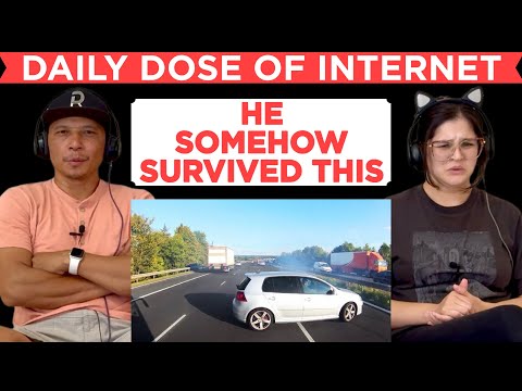 Видео: ЕЖЕДНЕВНАЯ ДОЗА ИНТЕРНЕТА (11/2025) - Реакция!