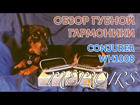 Видео: Обзор губной гармоники Conjurer Memoirs WH1008 | Conjurer Memoirs WH1008 harmonica review (ENG sub)