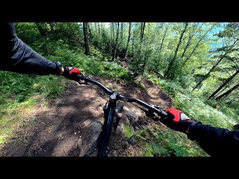 Видео: Белка в колесе: Чёрный принц от разгонки до Заимки